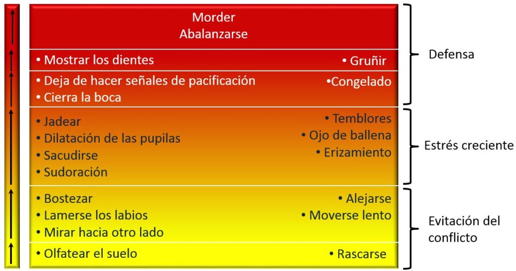 cuadro agresividad