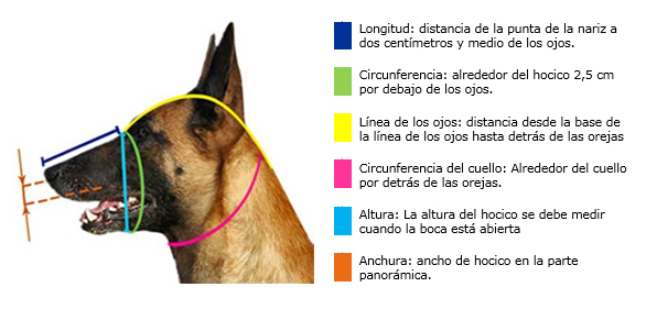 Línea de visión medallista Traducción Aspectos a tener en cuenta a la hora de seleccionar un bozal para tu perro  - Single Track - Escuela de adiestramiento, educación canina y etología