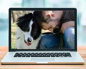 Curso adiestramiento canino y modificacion conducta online