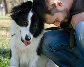 Curso adiestramiento canino y modificacion conducta presencial