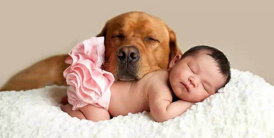Perro y bebé