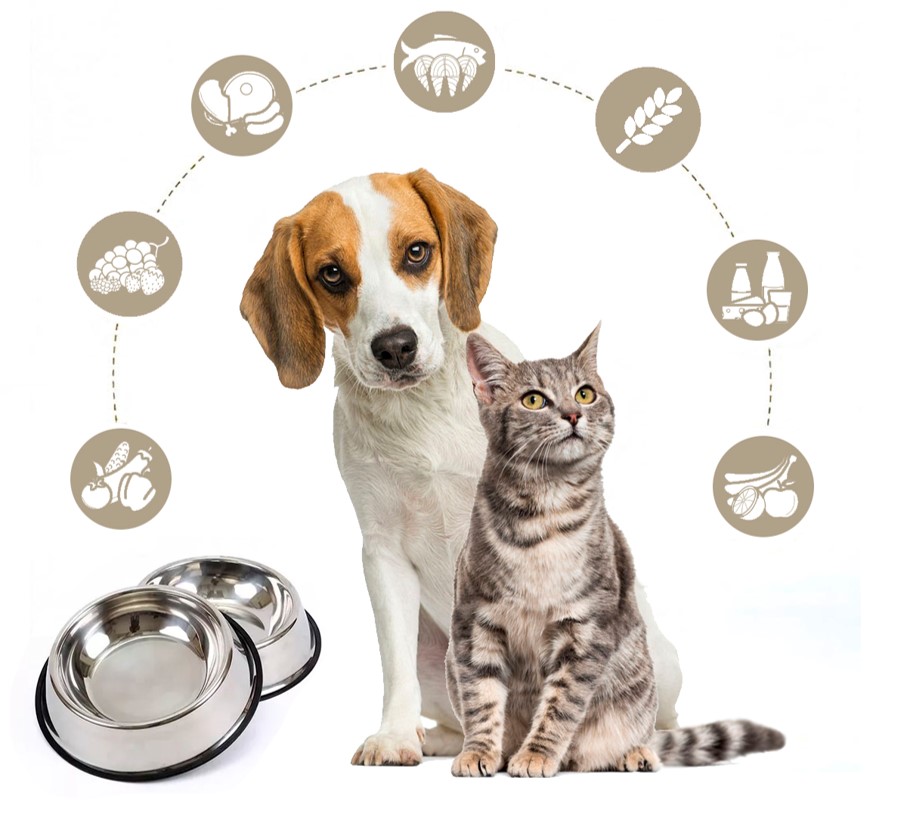 Curso de alimentación y nutrición canina y felina